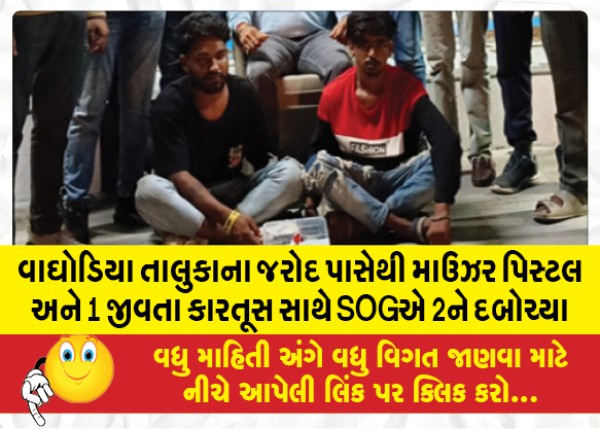 MailVadodara.com - SOG-nabs-2-with-Mauser-pistol-and-1-live-cartridge-from-Jarod-of-Waghodia-taluk