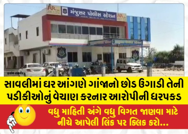 MailVadodara.com - Arrest-of-the-accused-who-grew-ganja-plants-in-his-backyard-and-sold-them-in-Savli
