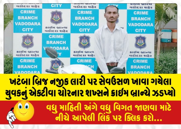 MailVadodara.com - The-crime-branch-caught-the-man-who-stole-the-Activa-of-a-youth-who-went-to-eat-on-a-lorry-near-Khatamba-Bridge