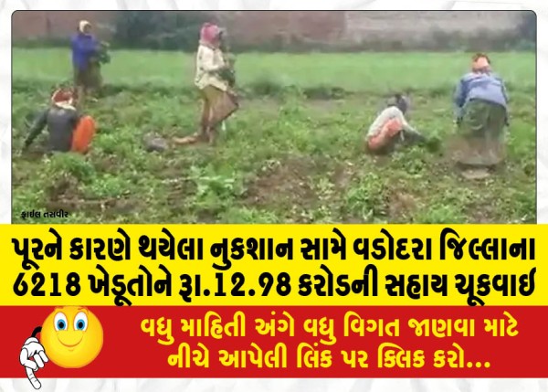 MailVadodara.com - Relief-of-Rs-12-98-crore-paid-to-6218-farmers-of-Vadodara-district-against-loss-due-to-flood