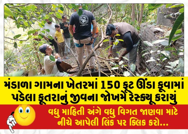 MailVadodara.com - A-dog-that-fell-into-a-150-feet-deep-well-in-the-field-of-Mandala-village-was-rescued-at-risk-of-life