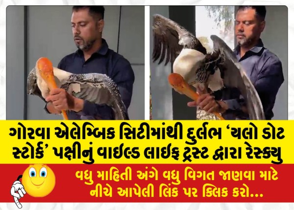MailVadodara.com - Wildlife-Trust-rescues-rare-Yellow-Dot-Stork-from-Gorwa-Alembic-City