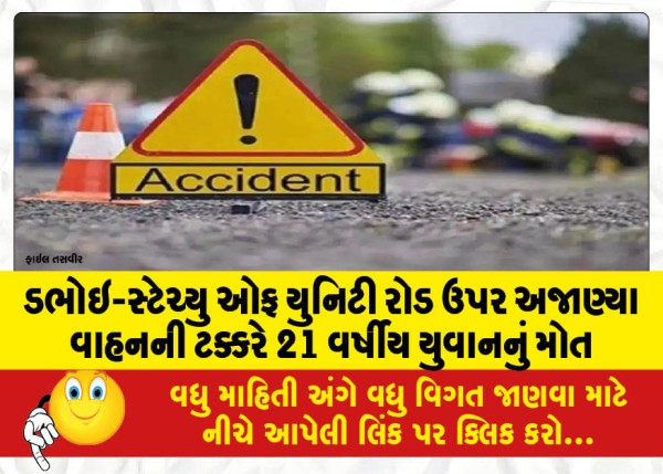 MailVadodara.com - 21-year-old-killed-after-being-hit-by-an-unknown-vehicle-on-Dabhoi-Statue-of-Unity-road