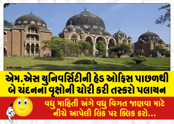 MailVadodara.com - The-smugglers-fled-after-stealing-two-sandalwood-trees-from-the-head-office-of-MS-University