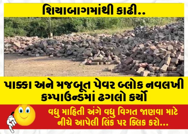 MailVadodara.com - Paved-and-strong-paver-block-piled-in-Navlakhi-compound