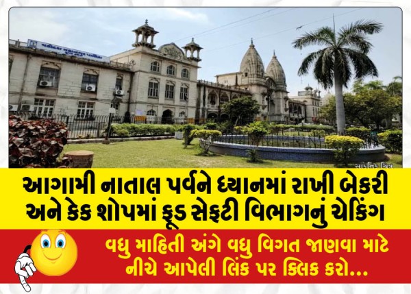 MailVadodara.com - Checking-of-food-safety-department-in-bakeries-and-cake-shops-in-view-of-the-upcoming-Christmas-festival