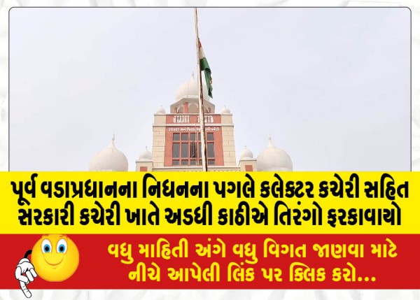 MailVadodara.com - Tricolors-were-hoisted-at-half-mast-at-government-offices-including-the-Collectors-office-following-the-demise-of-the-former-Prime-Minister