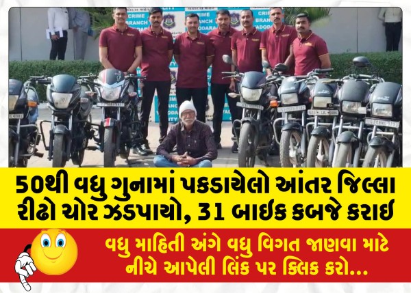 MailVadodara.com - An-inter-district-habitual-thief-caught-in-more-than-50-crimes-31-bikes-seized