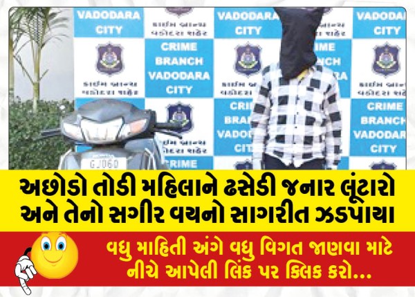 MailVadodara.com - Robber-and-his-minor-accomplice-arrested-for-robbing-woman