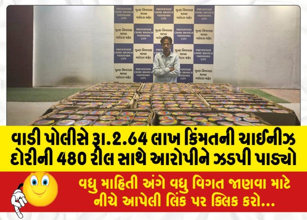 MailVadodara.com - Wadi-Police-nabs-accused-with-480-reels-of-Chinese-thread-worth-Rs-2-64-lakh
