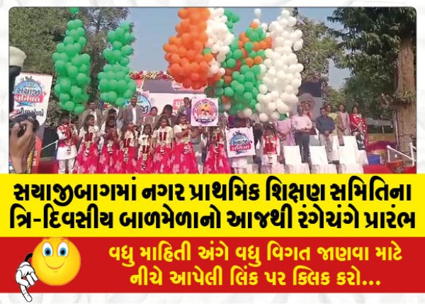 MailVadodara.com - The-three-day-childrens-fair-of-Nagar-Primary-Education-Committee-in-Sayajibagh-begins-in-a-colorful-manner-from-today