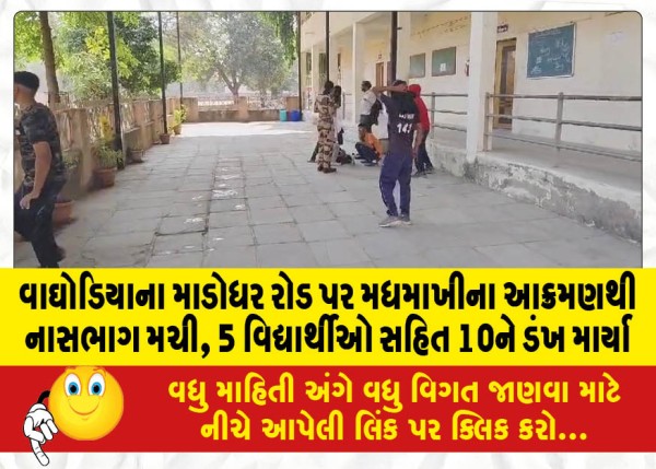 MailVadodara.com - 10-including-5-students-stung-by-bee-invasion-on-Waghodia-Madodar-Road