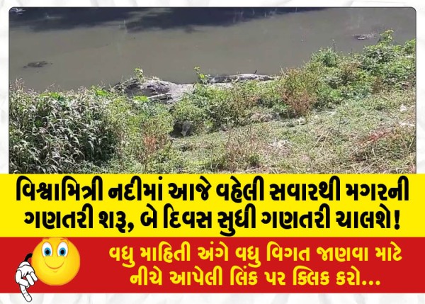 MailVadodara.com - Counting-of-crocodiles-started-in-Vishwamitri-river-from-early-morning-today-counting-will-continue-for-two-days