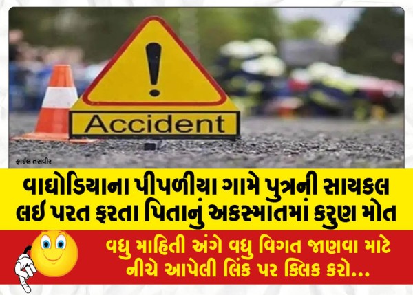 MailVadodara.com - A-father-died-tragically-in-an-accident-while-returning-with-his-son-bicycle-in-Pipliya-village-of-Waghodia