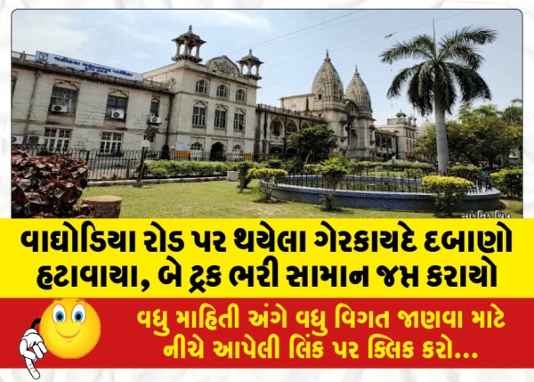 MailVadodara.com - Illegal-encroachments-on-Waghodia-Road-were-removed-two-trucks-full-of-goods-were-seized