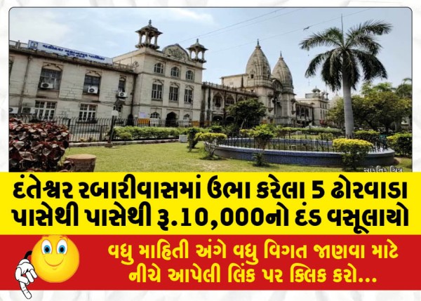 MailVadodara.com - A-fine-of-Rs-10000-was-collected-from-5-cattle-sheds-erected-in-Danteshwar-Rabariwas