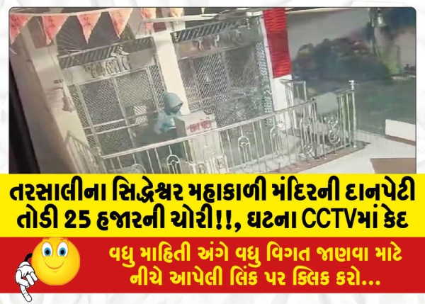MailVadodara.com - The-donation-box-of-Siddheshwar-Mahakali-temple-of-Tarsali-was-broken-and-25-thousand-was-stolen