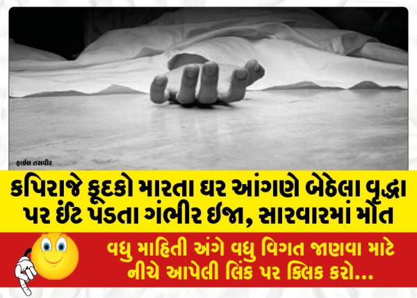 MailVadodara.com - Kapiraj-jumps-brick-falls-on-old-man-sitting-in-courtyard-seriously-injured-dies-during-treatment