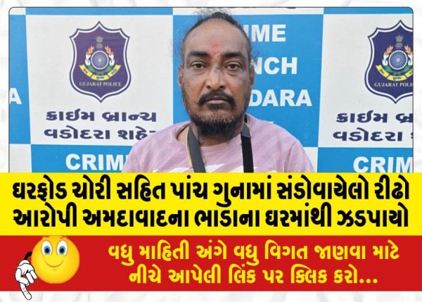 MailVadodara.com - A-habitual-accused-involved-in-five-crimes-including-burglary-was-caught-from-a-rented-house-in-Ahmedabad
