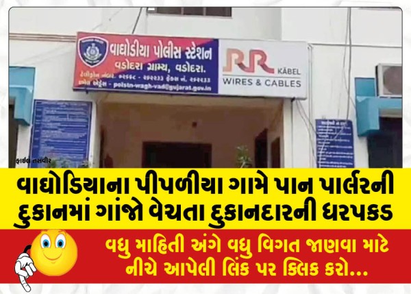 MailVadodara.com - Shopkeeper-arrested-for-selling-ganja-in-a-paan-parlor-shop-in-Piplia-village-of-Waghodia