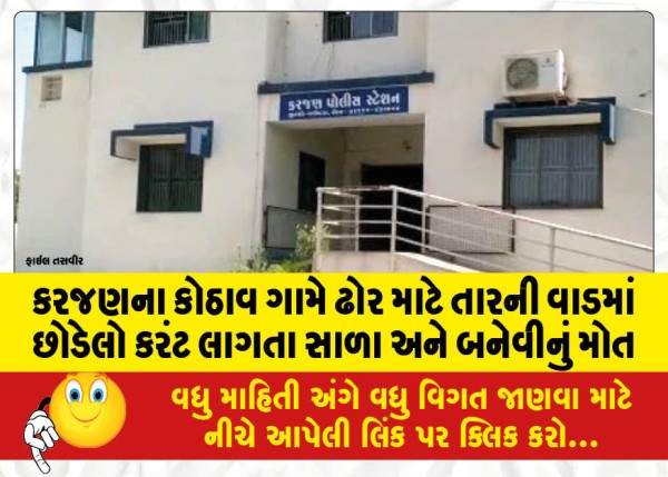 MailVadodara.com - Brother-in-law-and-sister-in-law-die-after-getting-electrocuted-by-a-wire-fence-left-for-cattle-in-Kothav-village-of-Karjan