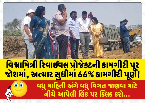 MailVadodara.com - Work-on-Vishwamitri-Revival-Project-in-full-swing-66-percent-work-completed-so-far