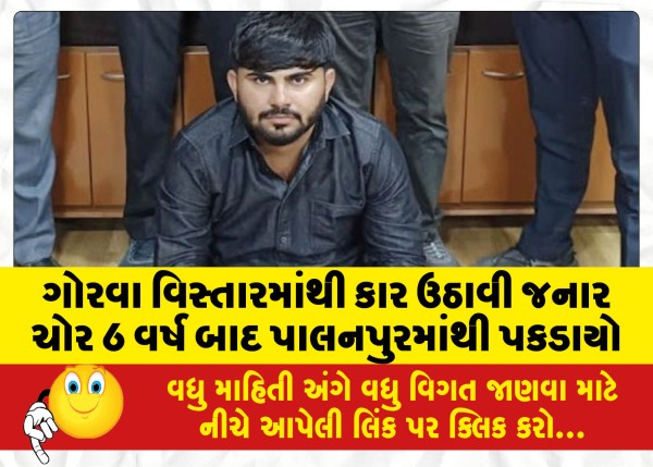 MailVadodara.com - The-thief-who-stole-a-car-from-Gorwa-area-was-caught-in-Palanpur-after-6-years