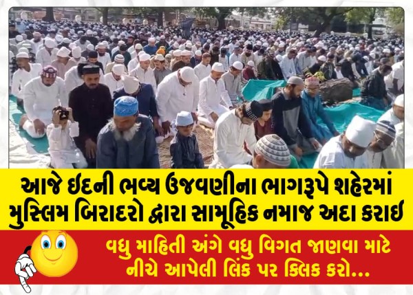 MailVadodara.com - Today-as-part-of-the-grand-celebration-of-Eid-Muslim-brothers-in-the-city-offered-mass-prayers
