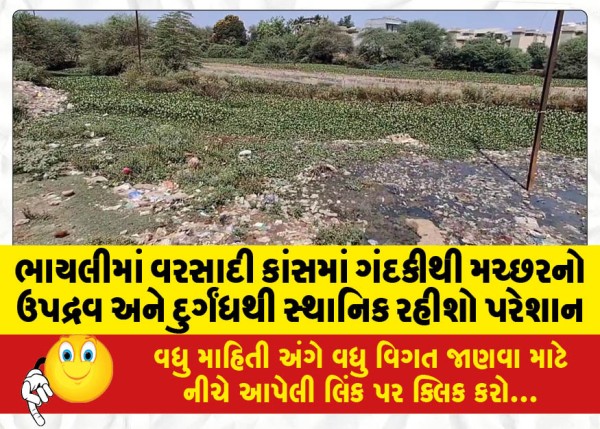 MailVadodara.com - Local-residents-are-troubled-by-the-mosquito-infestation-and-foul-smell-due-to-the-dirt-in-the-rainy-season-in-Bhayli
