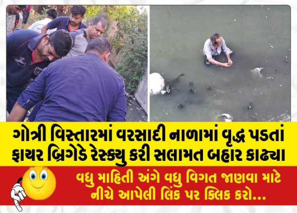MailVadodara.com - Fire-brigade-rescues-elderly-man-who-fell-into-storm-drain-in-Gotri-area-and-pulls-him-out-safely