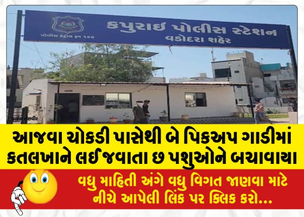 MailVadodara.com - Six-animals-being-taken-to-slaughterhouse-in-two-pickup-trucks-from-Ajwa-Chowkdi-were-rescued