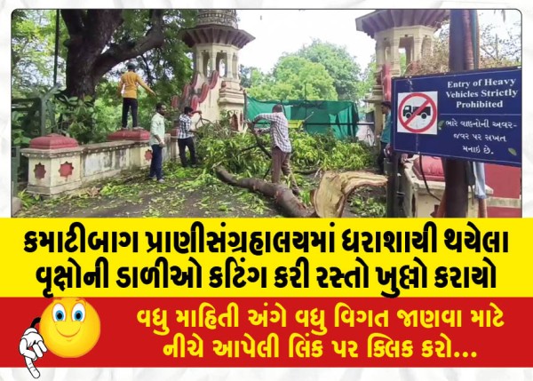 MailVadodara.com - The-road-was-opened-by-cutting-the-branches-of-fallen-trees-at-Kamatibagh-Zoo