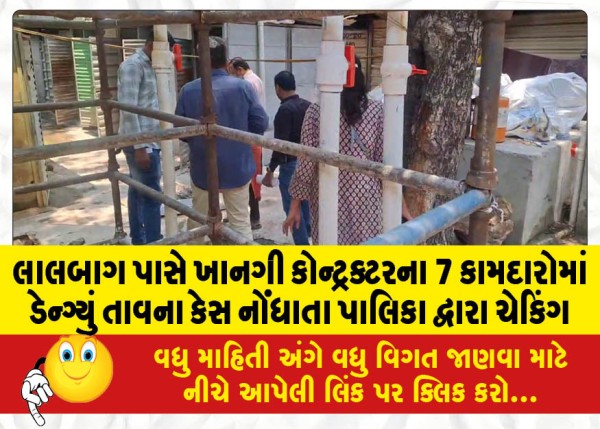 MailVadodara.com - Dengue-fever-cases-reported-among-7-workers-of-a-private-contractor-near-Lalbagh-prompting-checking-by-the-municipality