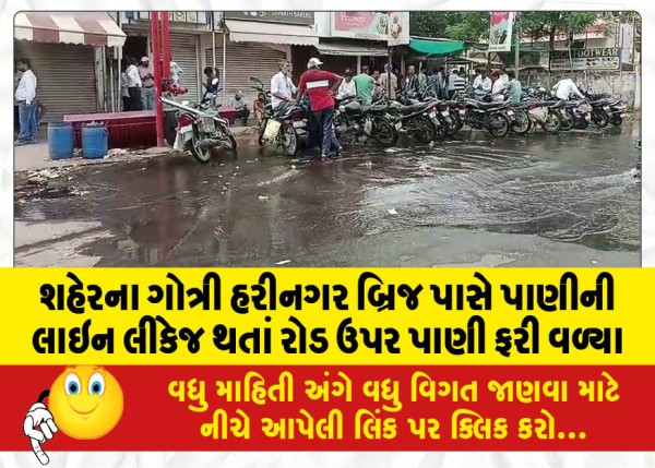 MailVadodara.com - Water-overflowed-onto-the-road-due-to-a-water-line-leakage-near-the-Gotri-Harinagar-Bridge