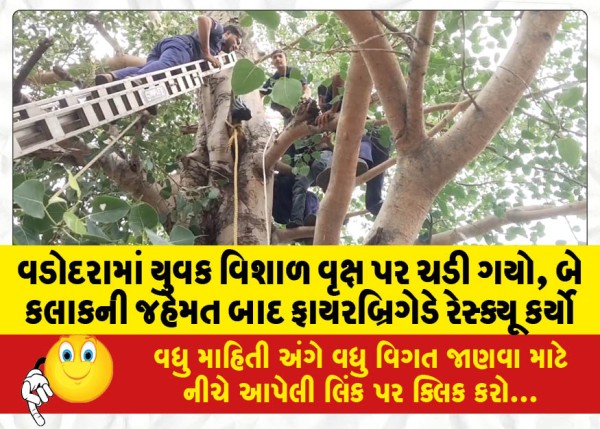 MailVadodara.com - A-young-man-climbed-a-huge-tree-in-Vadodara-the-fire-brigade-rescued-him-after-two-hours-of-struggle
