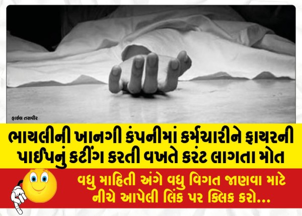 MailVadodara.com - An-employee-of-a-private-company-in-Bhayli-died-after-getting-electrocuted-while-cutting-a-fire-pipe