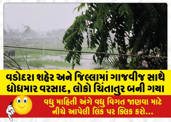 MailVadodara.com - Meteorological-Department-predicts-heavy-to-very-heavy-rain-in-three-districts-including-Vadodara-today