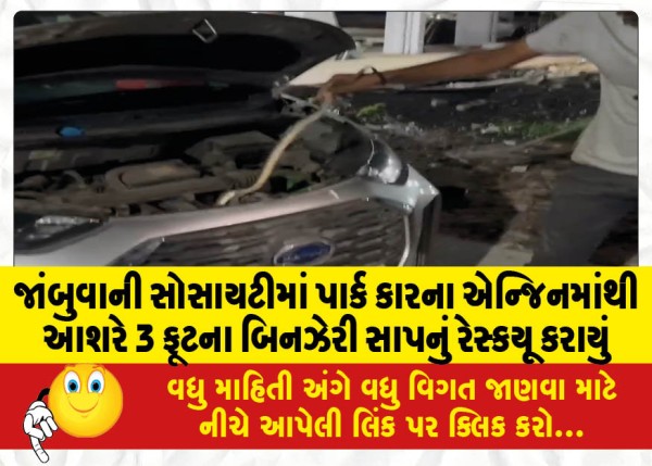 MailVadodara.com - A-non-venomous-snake-measuring-about-3-feet-was-rescued-from-the-engine-of-a-parked-car-in-Jambuvani-Society