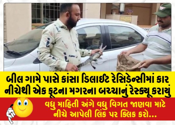 MailVadodara.com - A-one-foot-long-baby-crocodile-was-rescued-from-under-a-car-at-Kansa-Delight-Residency-near-Beel-village