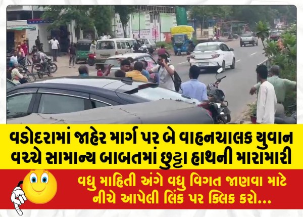 MailVadodara.com - A-brawl-broke-out-between-two-young-drivers-on-a-public-road-in-Vadodara-over-a-trivial-matter