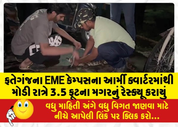 MailVadodara.com - A-3-5-foot-crocodile-was-rescued-from-the-army-quarters-of-Fatehganjs-EME-campus-late-at-night