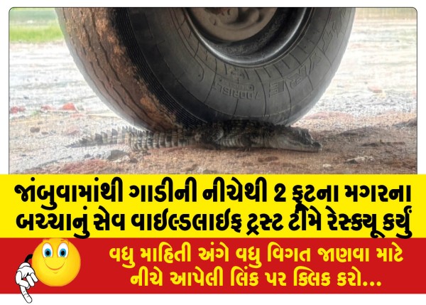 MailVadodara.com - Wildlife-Trust-team-rescues-2-foot-baby-crocodile-from-under-car-in-Jambuwa