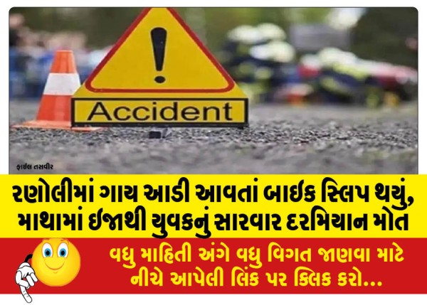 MailVadodara.com - Bike-slips-as-cow-approaches-in-Ranoli-youth-dies-during-treatment-due-to-head-injury