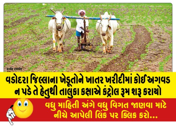 MailVadodara.com - A-control-room-has-been-started-at-the-taluka-level-to-ensure-that-farmers-of-Vadodara-district-do-not-face-any-inconvenience-in-purchasing-fertilizer