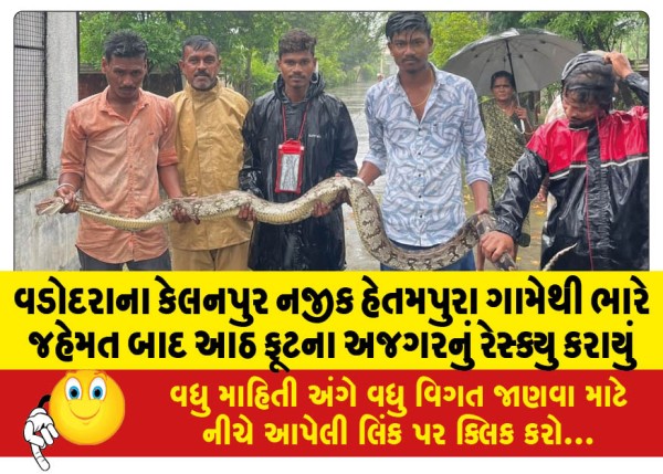 MailVadodara.com - An-eight-foot-python-was-rescued-from-Hetampura-village-near-Kelanpur-Vadodara-after-a-lot-of-effort