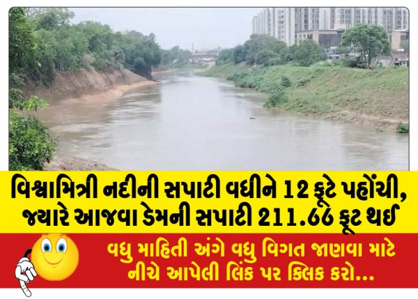MailVadodara.com - The-level-of-the-Vishwamitri-river-rose-to-12-feet-while-the-level-of-the-Ajwa-dam-reached-211-66-feet