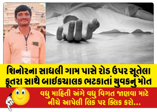 MailVadodara.com - A-young-man-died-after-a-biker-ran-over-a-dog-lying-on-the-road-near-Sadhli-village-in-Shinor