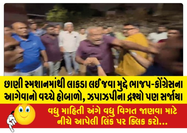 MailVadodara.com - There-was-a-ruckus-and-scuffle-between-BJP-Congress-leaders-over-the-issue-of-taking-wood-from-Chhani-crematorium