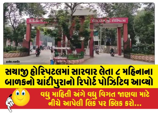 MailVadodara.com - The-report-of-an-8-month-old-baby-undergoing-treatment-at-Sayaji-Hospital-came-back-positive-for-Chandipura