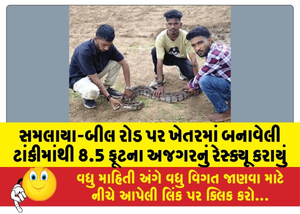 MailVadodara.com - 8-5-foot-python-rescued-from-a-tank-built-in-a-field-on-Samalaya-Beel-road